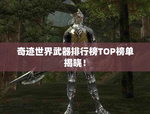 奇跡世界武器排行榜TOP榜單揭曉！