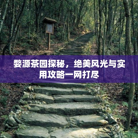 婺源茶園探秘，絕美風(fēng)光與實(shí)用攻略一網(wǎng)打盡