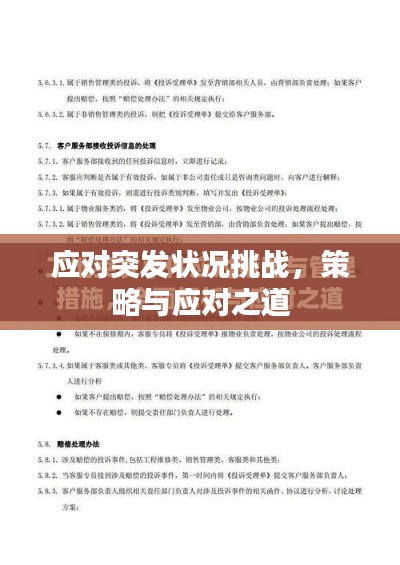 應(yīng)對(duì)突發(fā)狀況挑戰(zhàn)，策略與應(yīng)對(duì)之道