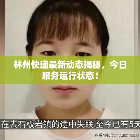 林州快遞最新動態(tài)揭秘，今日服務運行狀態(tài)！