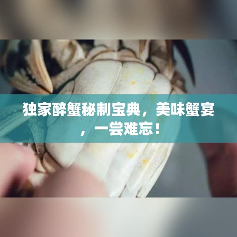 獨家醉蟹秘制寶典，美味蟹宴，一嘗難忘！