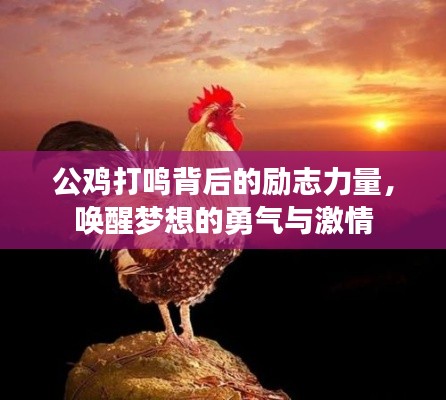 公雞打鳴背后的勵(lì)志力量，喚醒夢(mèng)想的勇氣與激情