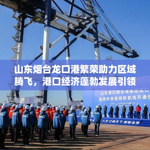 山東煙臺龍口港繁榮助力區(qū)域騰飛，港口經(jīng)濟蓬勃發(fā)展引領(lǐng)區(qū)域發(fā)展新征程