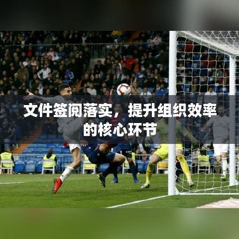 文件簽閱落實(shí)，提升組織效率的核心環(huán)節(jié)
