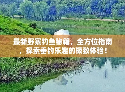 最新野寨釣魚(yú)秘籍，全方位指南，探索垂釣樂(lè)趣的極致體驗(yàn)！