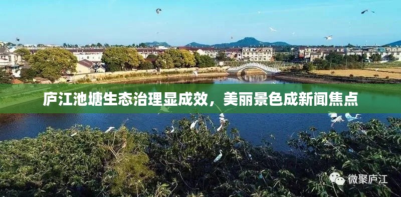 廬江池塘生態(tài)治理顯成效，美麗景色成新聞焦點(diǎn)