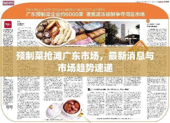 預(yù)制菜搶灘廣東市場(chǎng)，最新消息與市場(chǎng)趨勢(shì)速遞