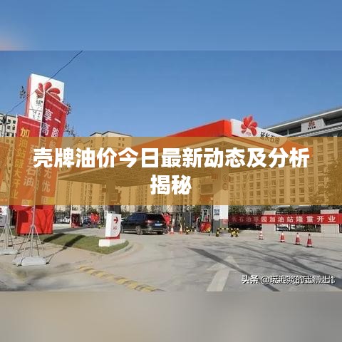 殼牌油價(jià)今日最新動(dòng)態(tài)及分析揭秘