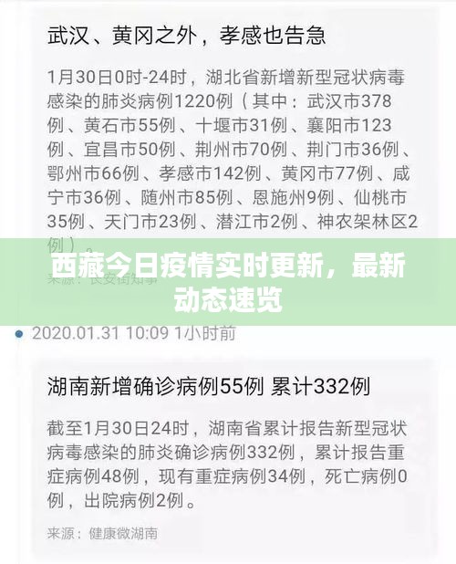 西藏今日疫情實(shí)時(shí)更新，最新動(dòng)態(tài)速覽