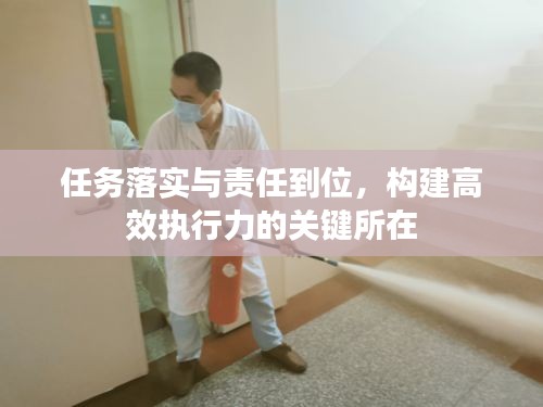 任務(wù)落實(shí)與責(zé)任到位，構(gòu)建高效執(zhí)行力的關(guān)鍵所在