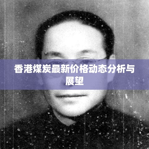 香港煤炭最新價(jià)格動(dòng)態(tài)分析與展望