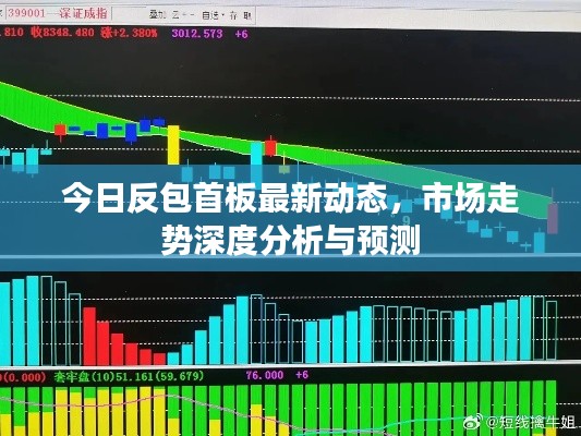 今日反包首板最新動態(tài)，市場走勢深度分析與預測