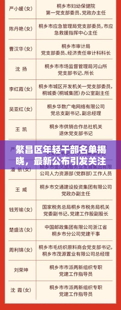 繁昌區(qū)年輕干部名單揭曉，最新公布引發(fā)關(guān)注