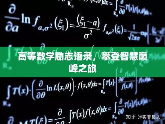 高等數(shù)學(xué)勵(lì)志語(yǔ)錄，攀登智慧巔峰之旅