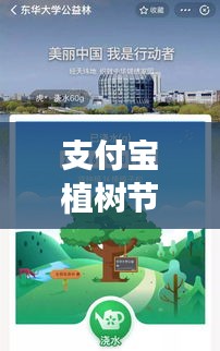 支付寶植樹節(jié)專題講座，綠色行動與數(shù)字時代的完美融合之道