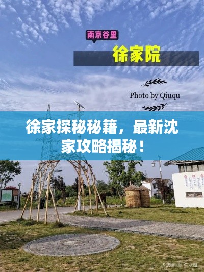 徐家探秘秘籍，最新沈家攻略揭秘！