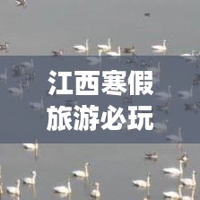 江西寒假旅游必玩攻略！