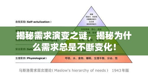 揭秘需求演變之謎，揭秘為什么需求總是不斷變化！