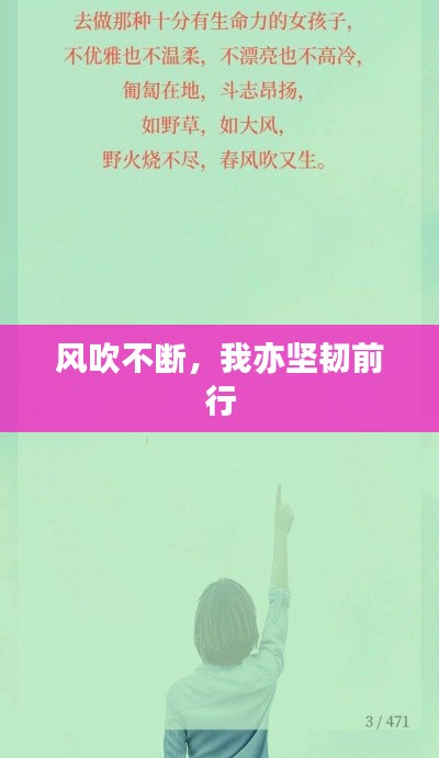 風吹不斷，我亦堅韌前行