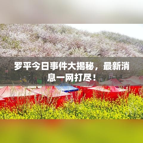 羅平今日事件大揭秘，最新消息一網(wǎng)打盡！