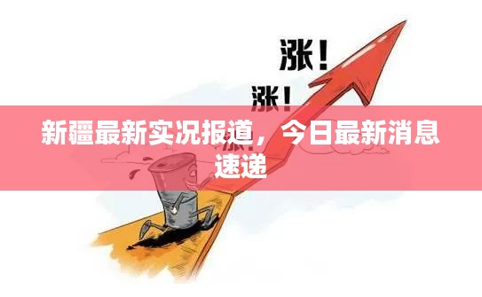 新疆最新實(shí)況報(bào)道，今日最新消息速遞