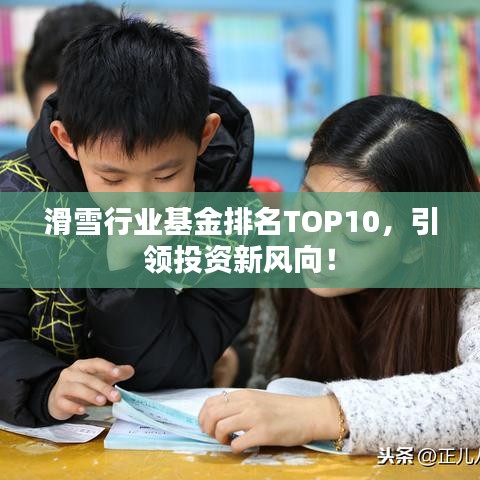 滑雪行業(yè)基金排名TOP10，引領(lǐng)投資新風(fēng)向！