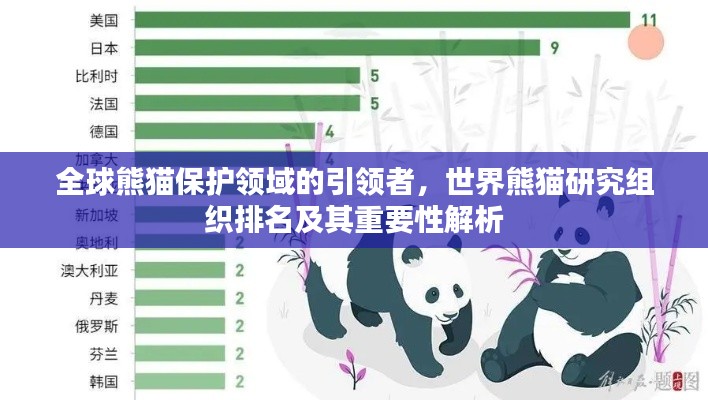 全球熊貓保護領(lǐng)域的引領(lǐng)者，世界熊貓研究組織排名及其重要性解析