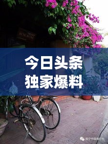 今日頭條獨(dú)家爆料，魏明亮最新動態(tài)揭秘