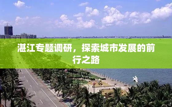 湛江專題調(diào)研，探索城市發(fā)展的前行之路