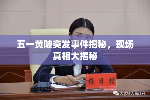 五一黃陂突發(fā)事件揭秘，現(xiàn)場真相大揭秘