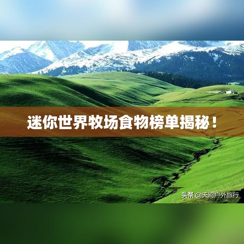 迷你世界牧場食物榜單揭秘！