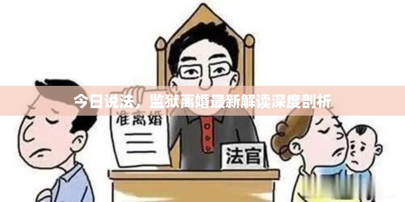 今日說法，監(jiān)獄離婚最新解讀深度剖析