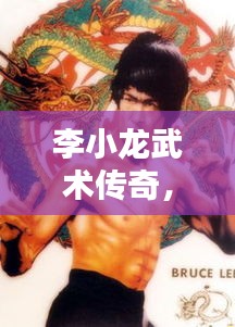 李小龍武術(shù)傳奇，世界拳擊排名揭秘