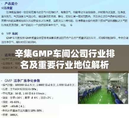 辛集GMP車間公司行業(yè)排名及重要行業(yè)地位解析