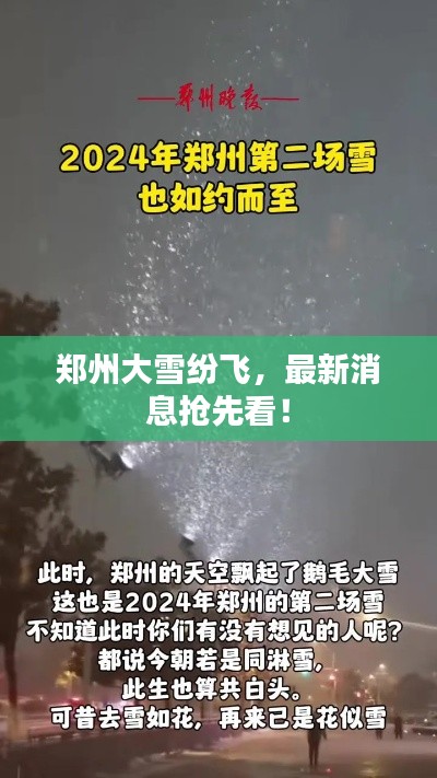 鄭州大雪紛飛，最新消息搶先看！