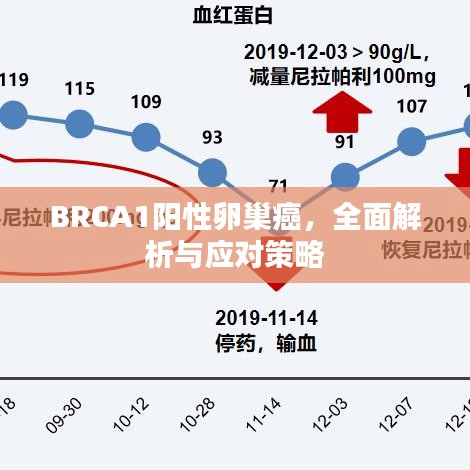 BRCA1陽(yáng)性卵巢癌，全面解析與應(yīng)對(duì)策略
