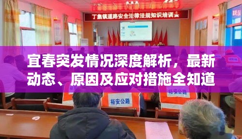 宜春突發(fā)情況深度解析，最新動(dòng)態(tài)、原因及應(yīng)對(duì)措施全知道