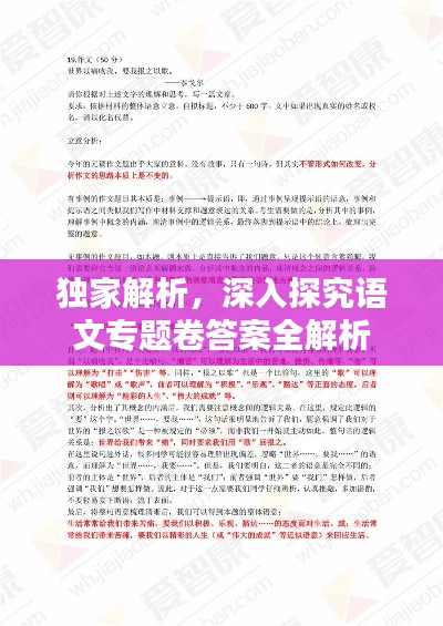 獨家解析，深入探究語文專題卷答案全解析