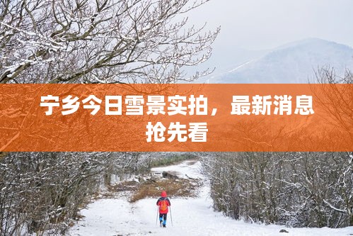 寧鄉(xiāng)今日雪景實(shí)拍，最新消息搶先看