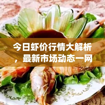 今日蝦價(jià)行情大解析，最新市場(chǎng)動(dòng)態(tài)一網(wǎng)打盡
