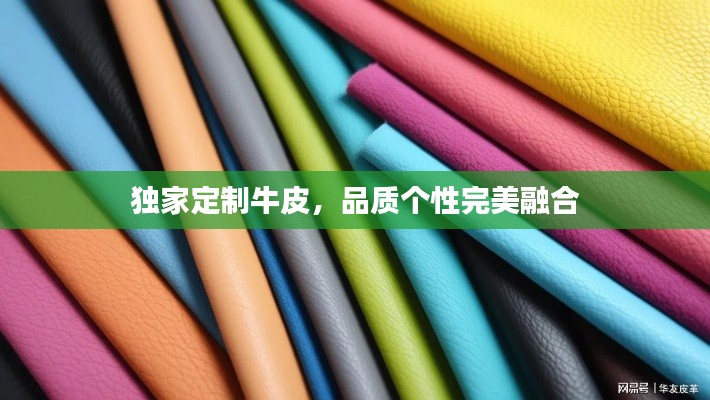 獨(dú)家定制牛皮，品質(zhì)個(gè)性完美融合