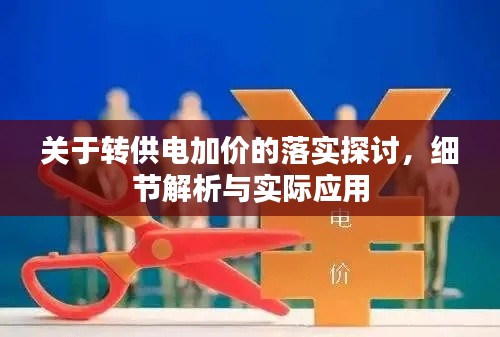 關(guān)于轉(zhuǎn)供電加價(jià)的落實(shí)探討，細(xì)節(jié)解析與實(shí)際應(yīng)用