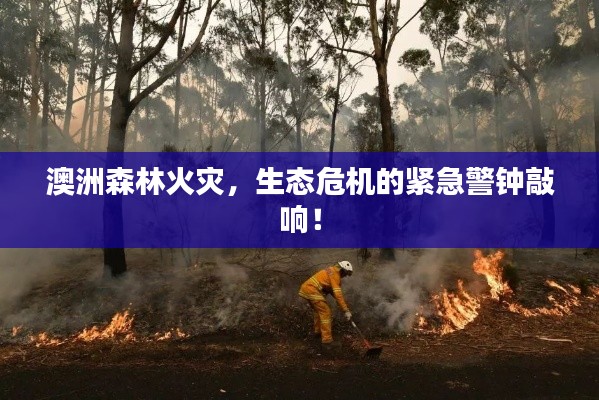 澳洲森林火災(zāi)，生態(tài)危機(jī)的緊急警鐘敲響！