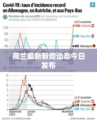 荷蘭最新新聞動態(tài)今日發(fā)布