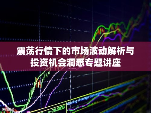 震蕩行情下的市場(chǎng)波動(dòng)解析與投資機(jī)會(huì)洞悉專題講座