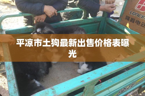 平?jīng)鍪型凉纷钚鲁鍪蹆r(jià)格表曝光