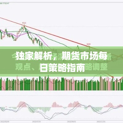 獨家解析，期貨市場每日策略指南