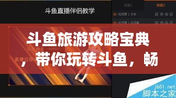 斗魚旅游攻略寶典，帶你玩轉(zhuǎn)斗魚，暢游無憂！