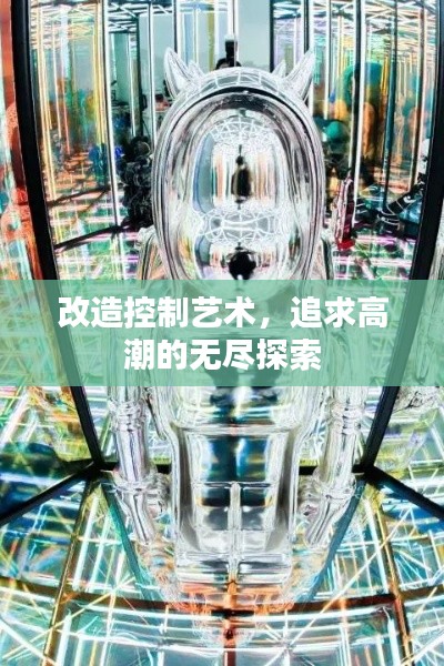 改造控制藝術(shù)，追求高潮的無盡探索