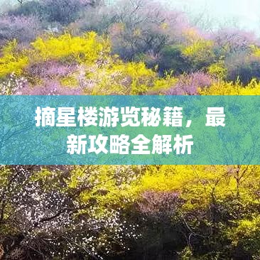 摘星樓游覽秘籍，最新攻略全解析